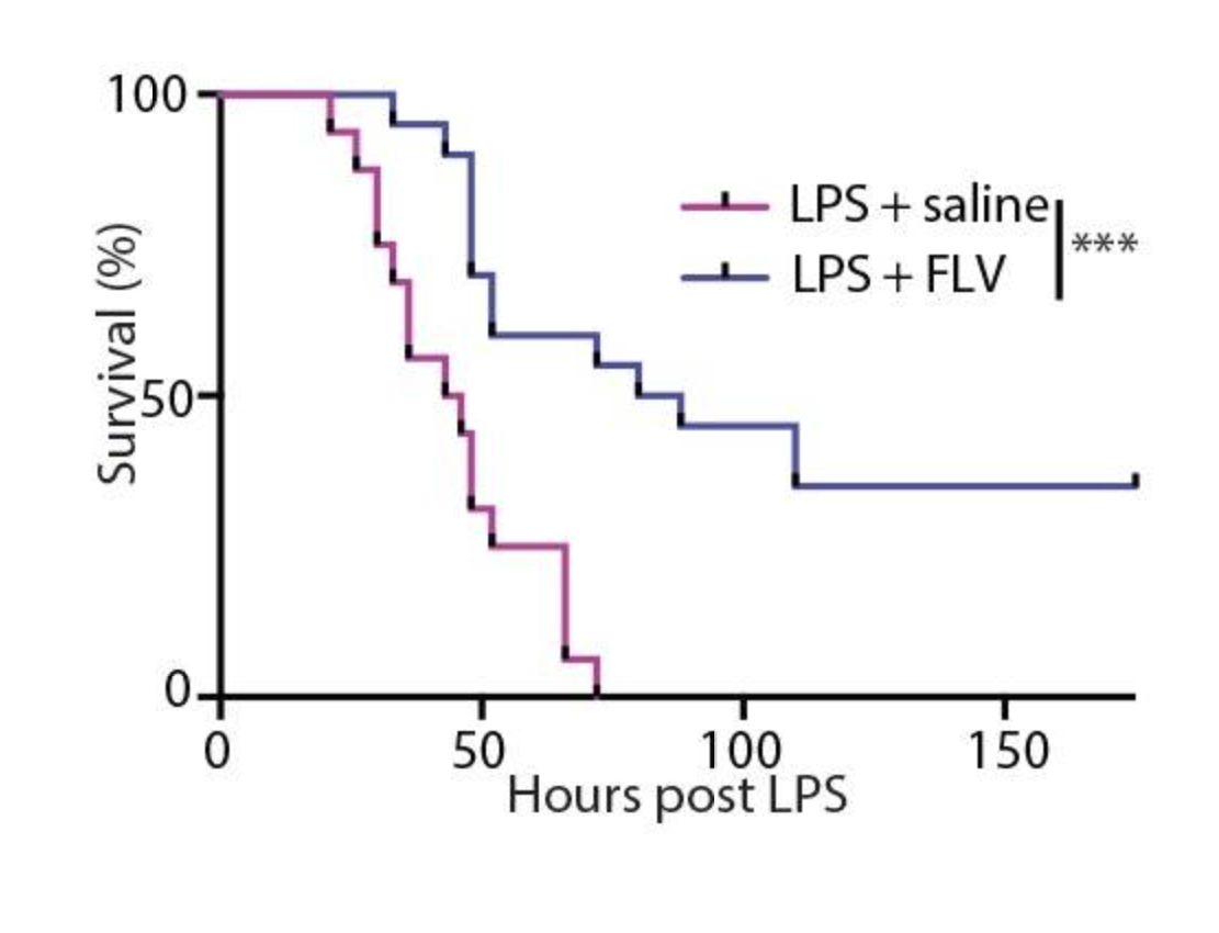 Fluvoxamine news articles and op-eds